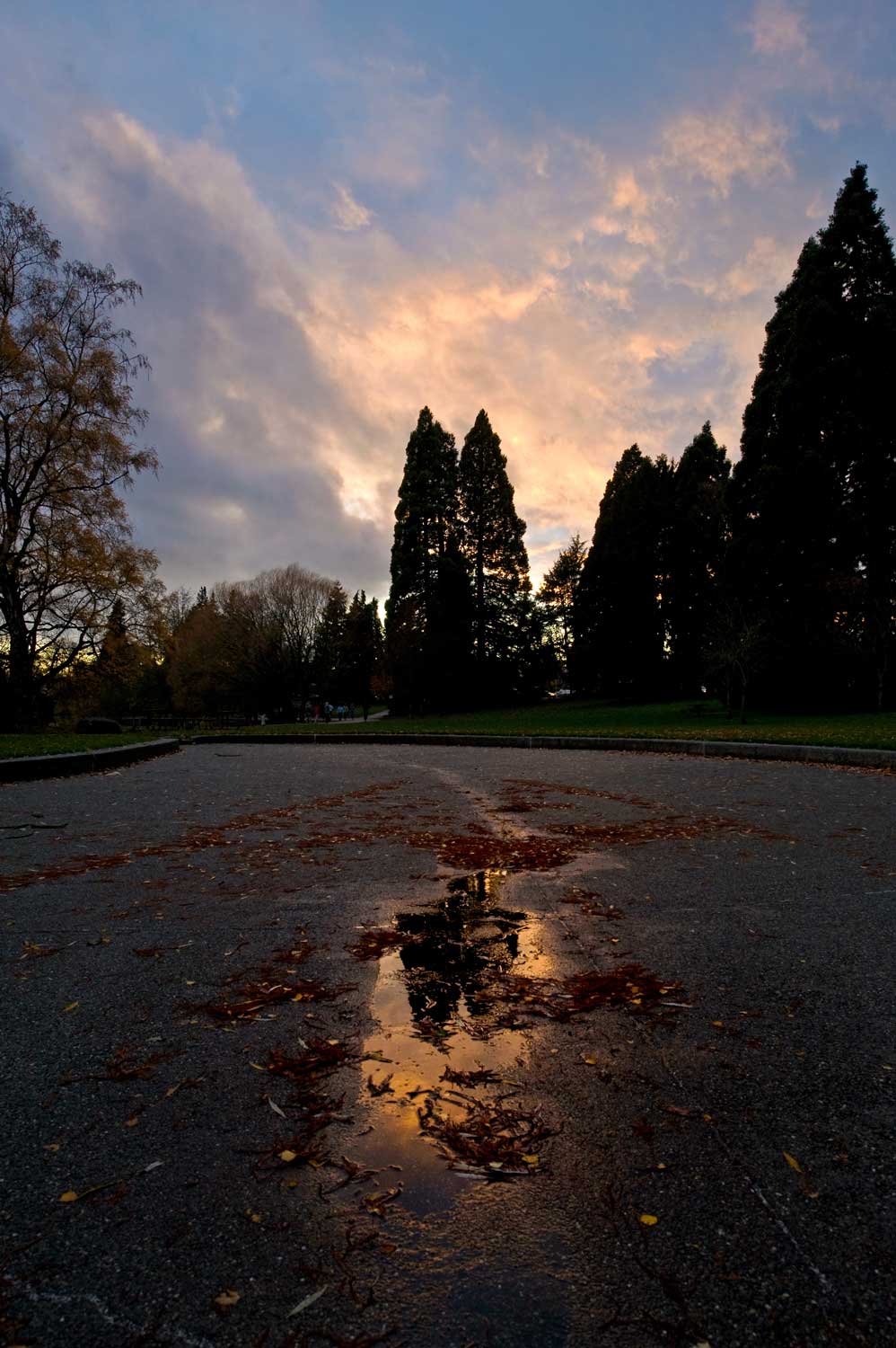 wading-pool-seattle-now-then