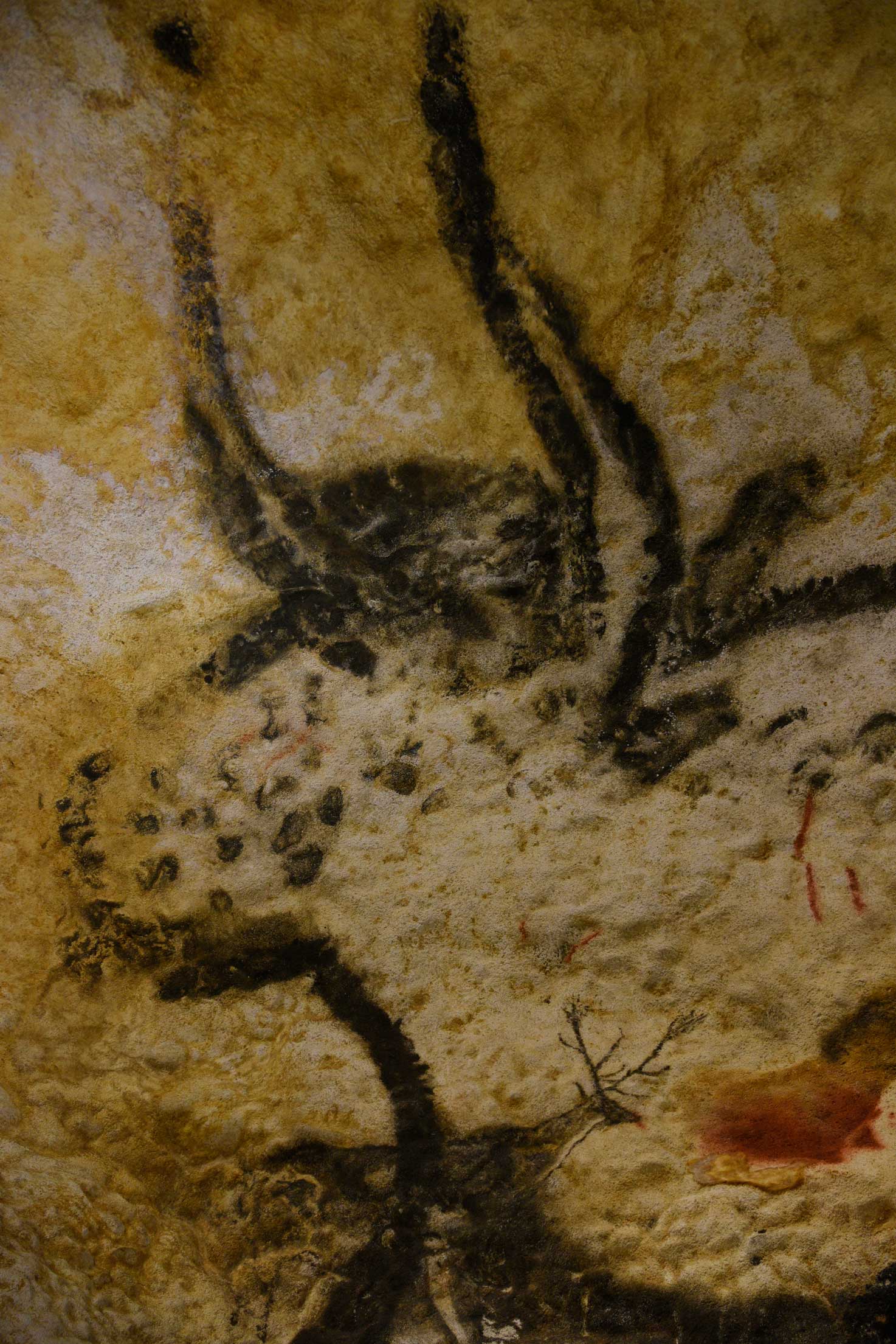 Lascaux Then and Now | Seattle Now & Then